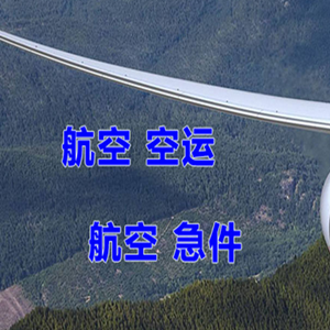 济宁大安航空快递快递-选东方航空和上海航空