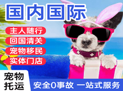 济宁大安航空快递国际宠物托运 【国